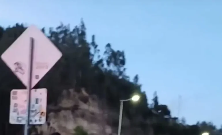 «Muy improvisado», el concepto de cuerpos fronterizos de Nariño sobre el controvertido proceso de deportación de prisioneros colombianos de Ecuador
– Primer plano