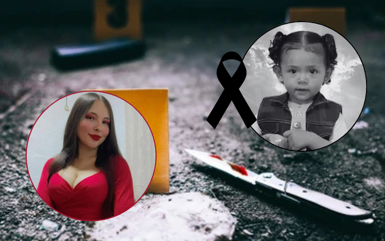 Una madre asesinó a su hija con un arma afilada

 – Primer plano