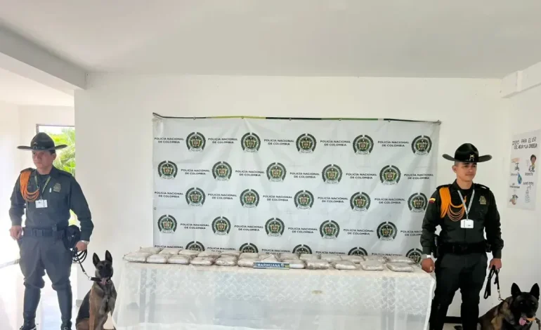 Policías de cuatro ligadas que lo habilitaron

 – Primer plano