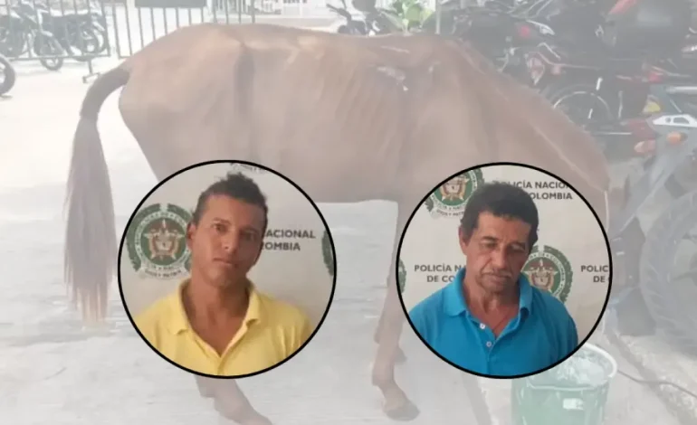 Se aplica la ley de los ángeles para heridas graves para las yeguas utilizadas para la adhesión
– Primer plano