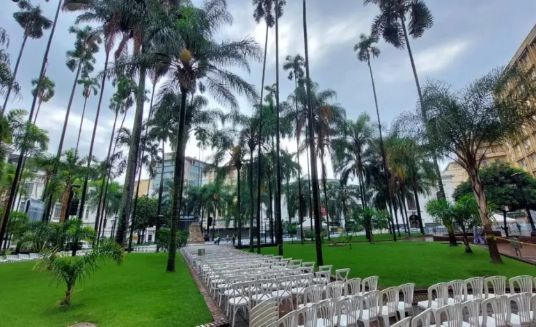 Será la programación de sus eventos principales.

 – Primer plano