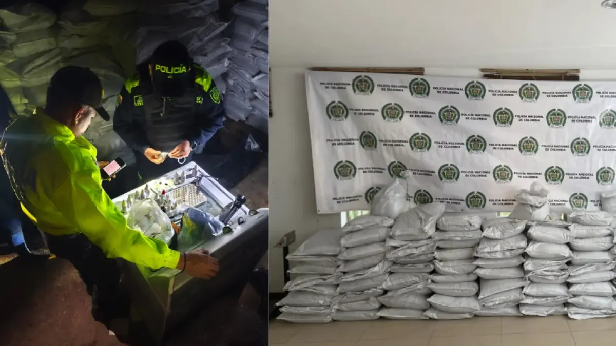 Toman más de dos toneladas de cocaína en carbón en el pueblo Jamundí: fue una búsqueda

 – Primer plano