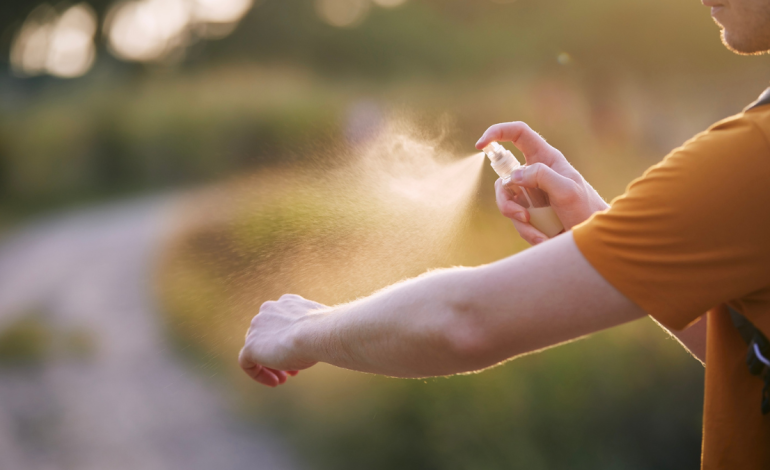 Tres personas murieron durante el año y se examinan cinco

 – Primer plano