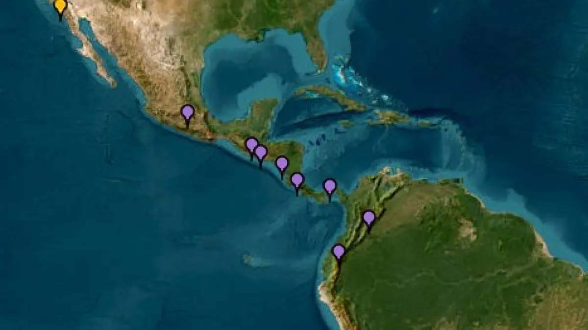 UNGD ordenó la evacuación del tsunami a los municipios en la costa del Pacífico en Colombia después del tamaño de 8.8 terremoto en Rusia

 – Primer plano