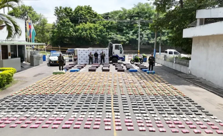 Ya hay 22 toneladas de convulsiones en la sección, hasta ahora en 2025

 – Primer plano