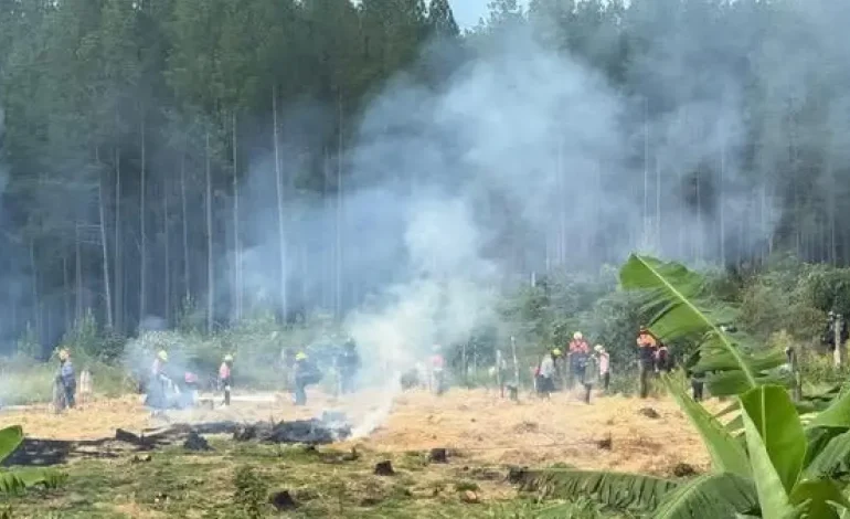 desalojo brutal y retención de tres operadores de caña

 – Primer plano