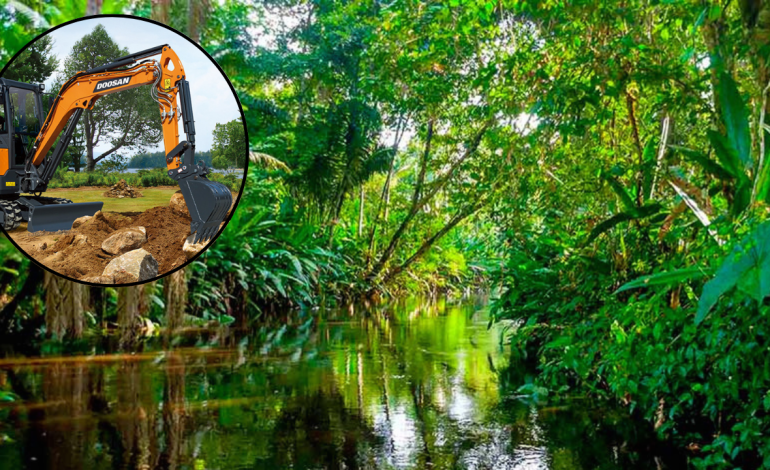 Amazonas: el equipo ambiental brasileño reduce los requisitos para las condiciones ecológicas

 – Primer plano