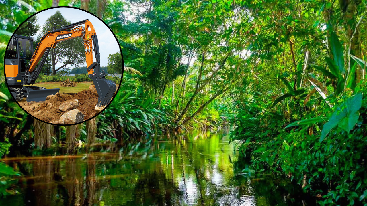 Amazonas: el equipo ambiental brasileño reduce los requisitos para las condiciones ecológicas

 – Primer plano