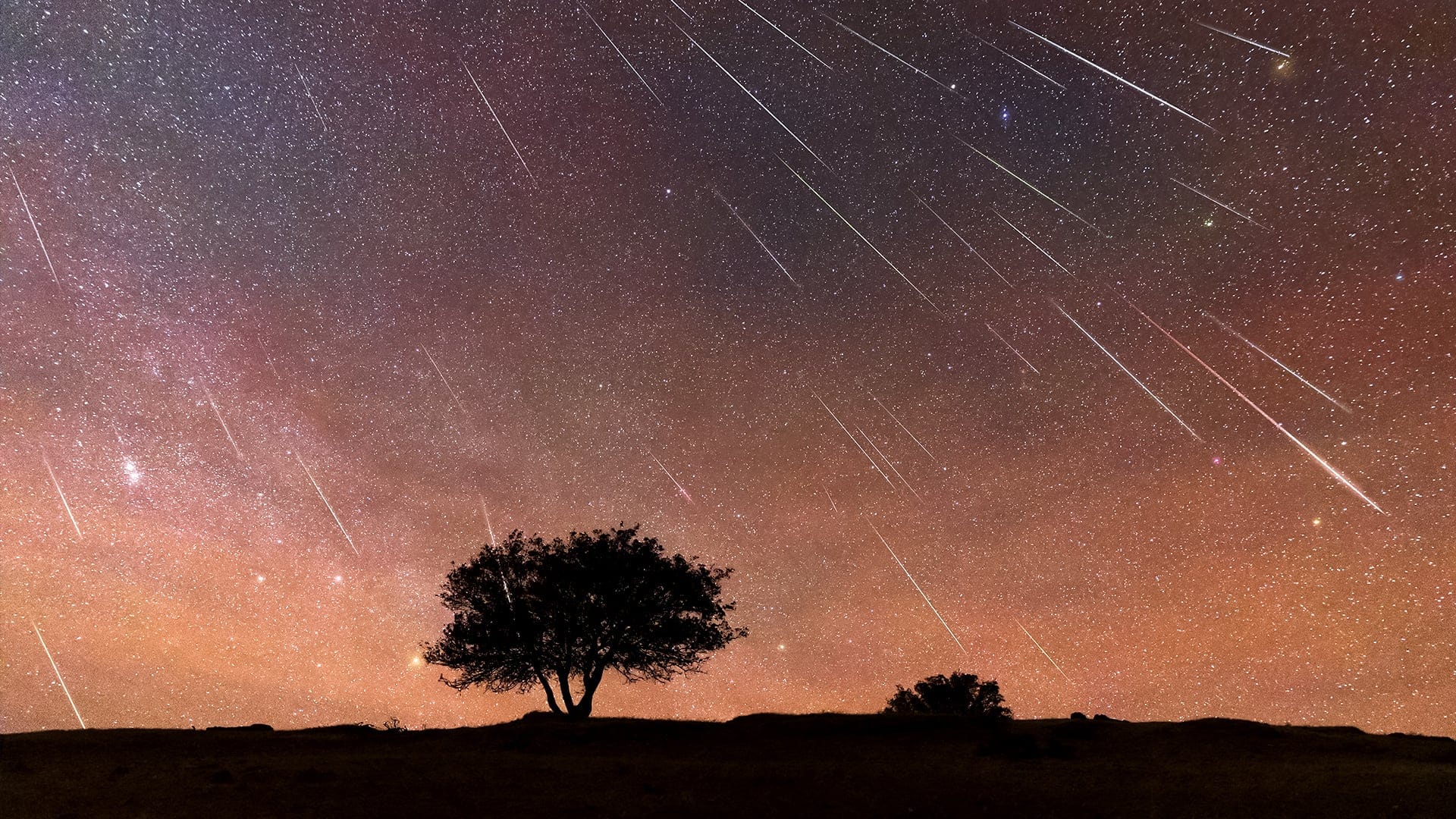 Perseid Meteor Rain – 

 – Primer plano