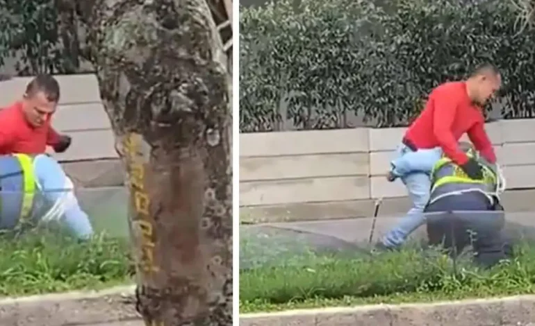 Ejemplos de condena en Bucaramanga El agresor contra el agente de tránsito será de cinco años de prisión: la brutal paliza se ha vuelto viral en las redes sociales
 – Primer plano