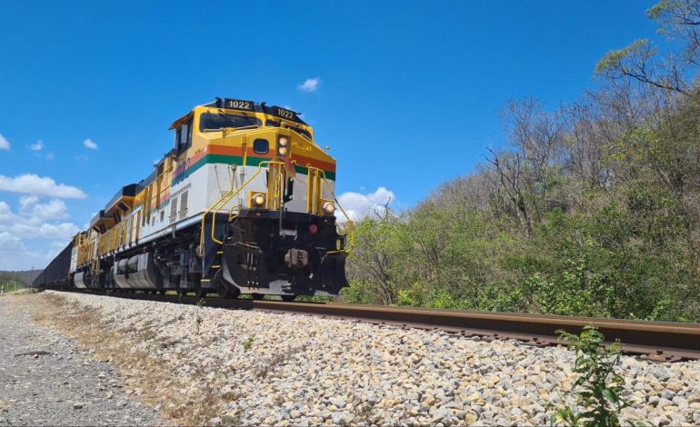 Wayúu una chica que fue en busca de agua al lomo de cerdo muere abrumada por Cerrejón Train

 – Primer plano