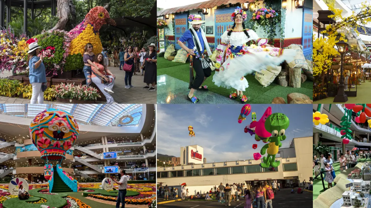 Eventos de jardín botánico y centros comerciales

 – Primer plano