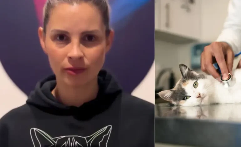 El senador Andrea Padilla promete justicia por el asesinato de Alana, Gatica atacó a Voillas en Montería

 – Primer plano