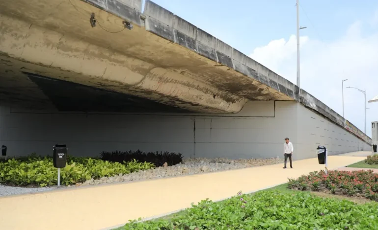 Sociedad de ingeniería nuevamente

 – Primer plano