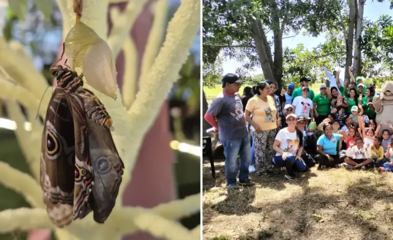 La historia de la resistencia del distrito, que está creciendo con el emprendimiento hoy

 – Primer plano