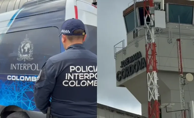 Cuatro extranjeros inertes y 48 notificaciones de migración

 – Primer plano