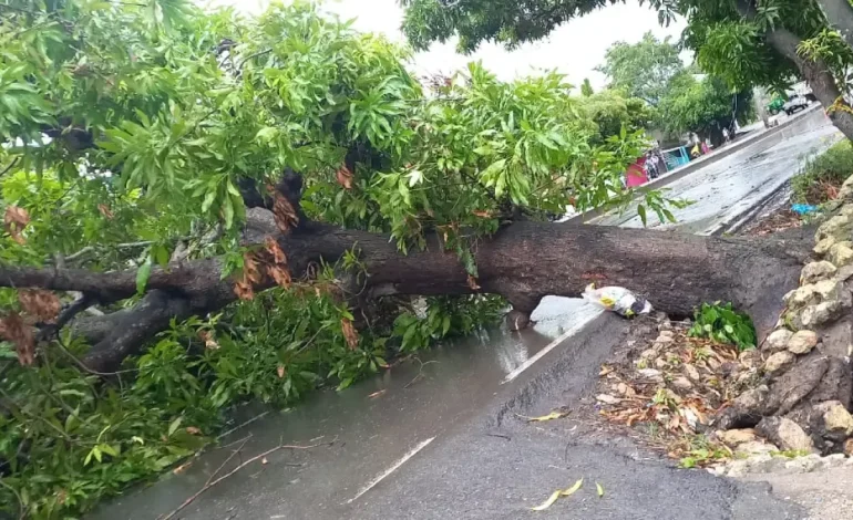 Nady en Sucre debido a las lluvias deja a más de 500 familias afectadas

 – Primer plano