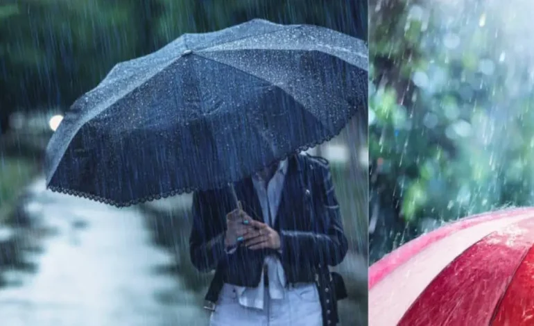 La idea lanza lluvias permanentes
– Primer plano