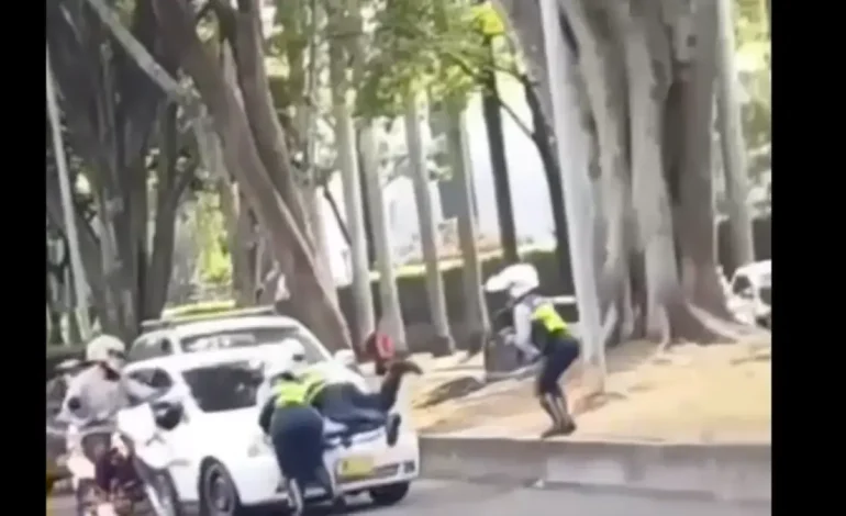 Esta es su historia de criminales de carretera

 – Primer plano