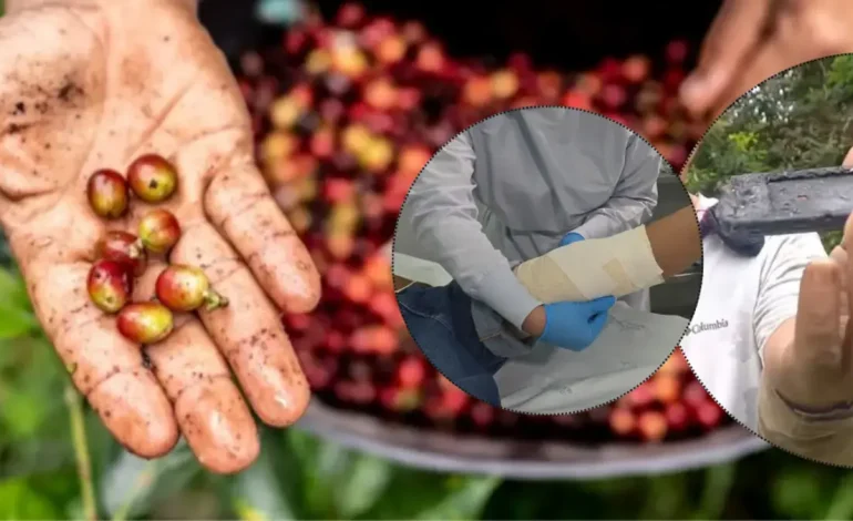 «Ya estaba envuelto en llamas»

 – Primer plano