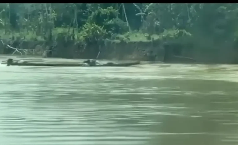 Las fuerzas navales frustraban un explosivo ataque en bote en el río Guaviare: no se registran víctimas

 – Primer plano
