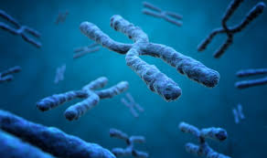 Día Mundial -Gymnast -Sydrome -day: hacerte visible para transformarte para diagnosticar
 – Primer plano