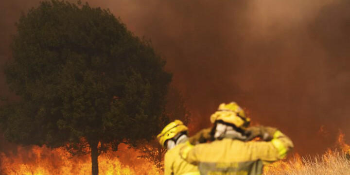 Día Mundial de Prevención de Incendios Forestales: este lunes no se celebra el incendio, se evita

 – Primer plano