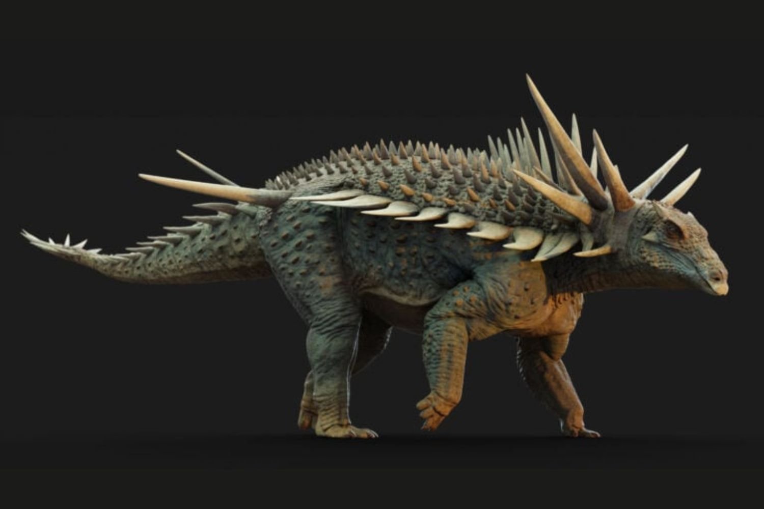 Descubres personas mayores y aprobaste el puente peatonal en la frontera entre los Estados Unidos -Mexico

 – Primer plano