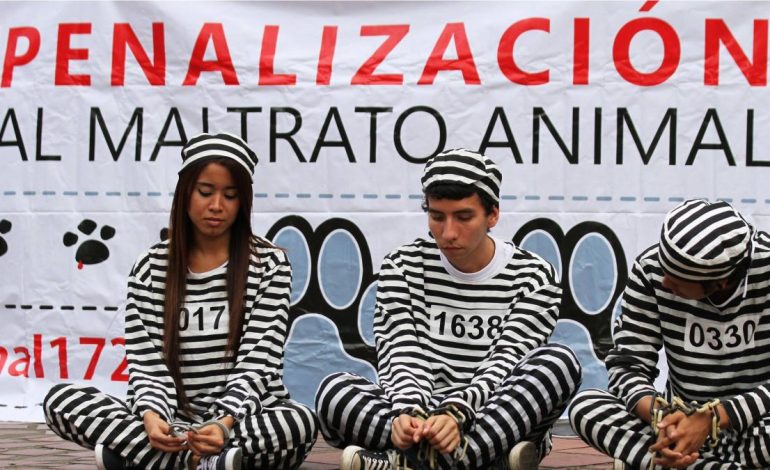 El animal se derrumbó después de un brutal ataque con un machete
– Primer plano