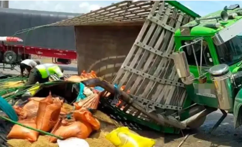 El ladrón muere aplastado cuando fue robado de comida animal
 – Primer plano