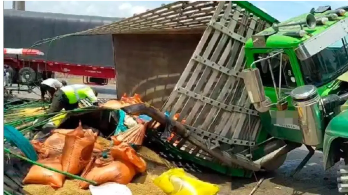 El ladrón muere aplastado cuando fue robado de comida animal

 – Primer plano