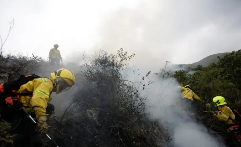 Incendio forestal en el oeste de

 – Primer plano