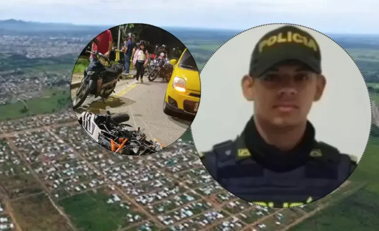 Las patrullas chocaron con un árbol

 – Primer plano