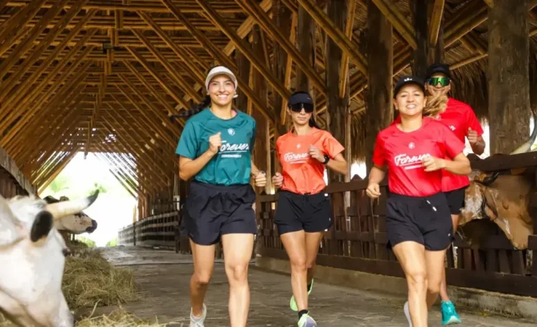 Recordan a Valle del Caucanos a una fiesta de carrera, entre los animales en Panaca, en el eje del café; Promueven el turismo en el deporte

 – Primer plano