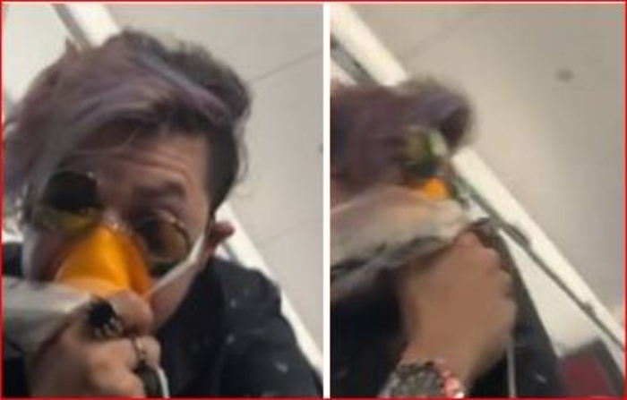 Fotos como este avión Airbus después de chocar con un gam

 – Primer plano