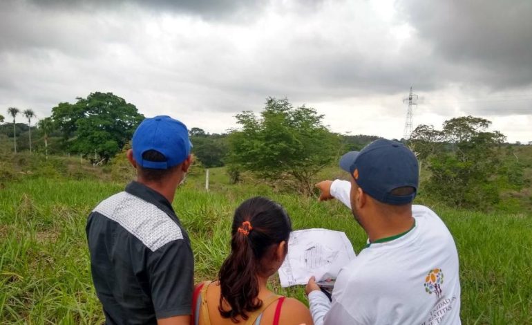 así van procesos con dos multinacionales señaladas de presuntos vínculos con paramilitares – Primer plano