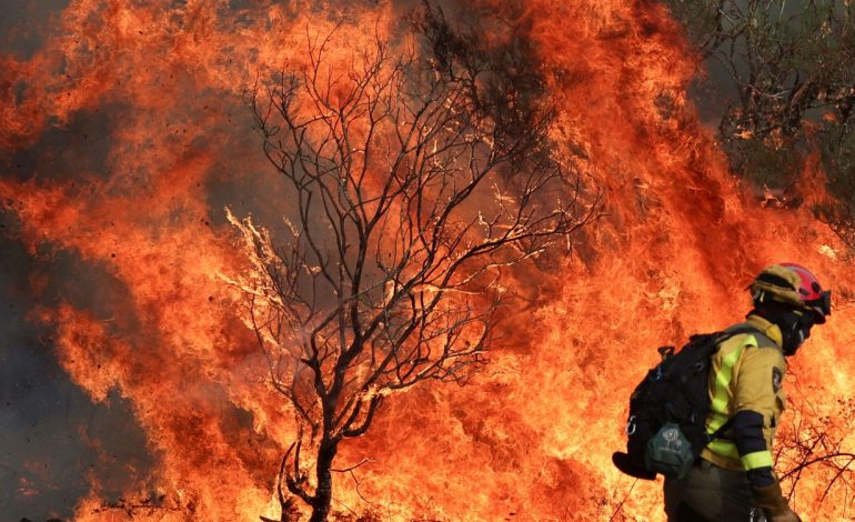 Fuego en España – 

 – Primer plano