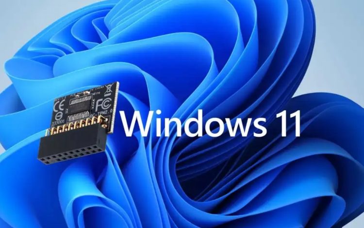 Instale Windows 11 sin contabilidad de chip TPM o Microsoft: Instrucciones completas

 – Primer plano