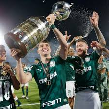 Palmeiras y el propietario de invierno y universidad en la Copa Libertadores

 – Primer plano