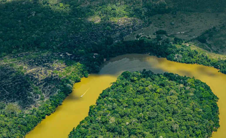 restauración de ecosistemas degradados en una reparación integral de sus habitantes – Primer plano