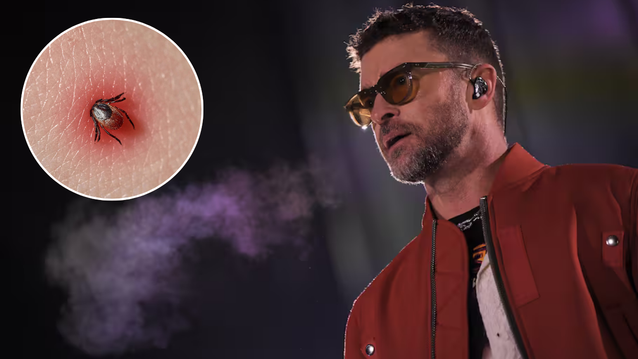 Garrapatas y lyme: la enfermedad que afecta a Timberlake

 – Primer plano