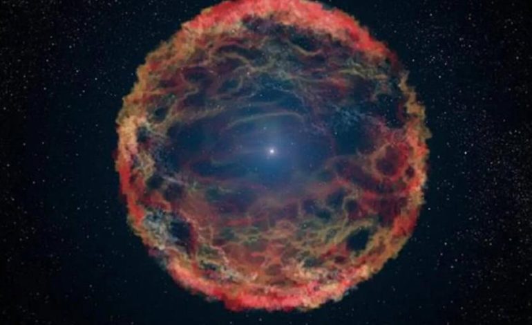 Por primera vez puedes ver las capas internas de una estrella durante una supernova

 – Primer plano