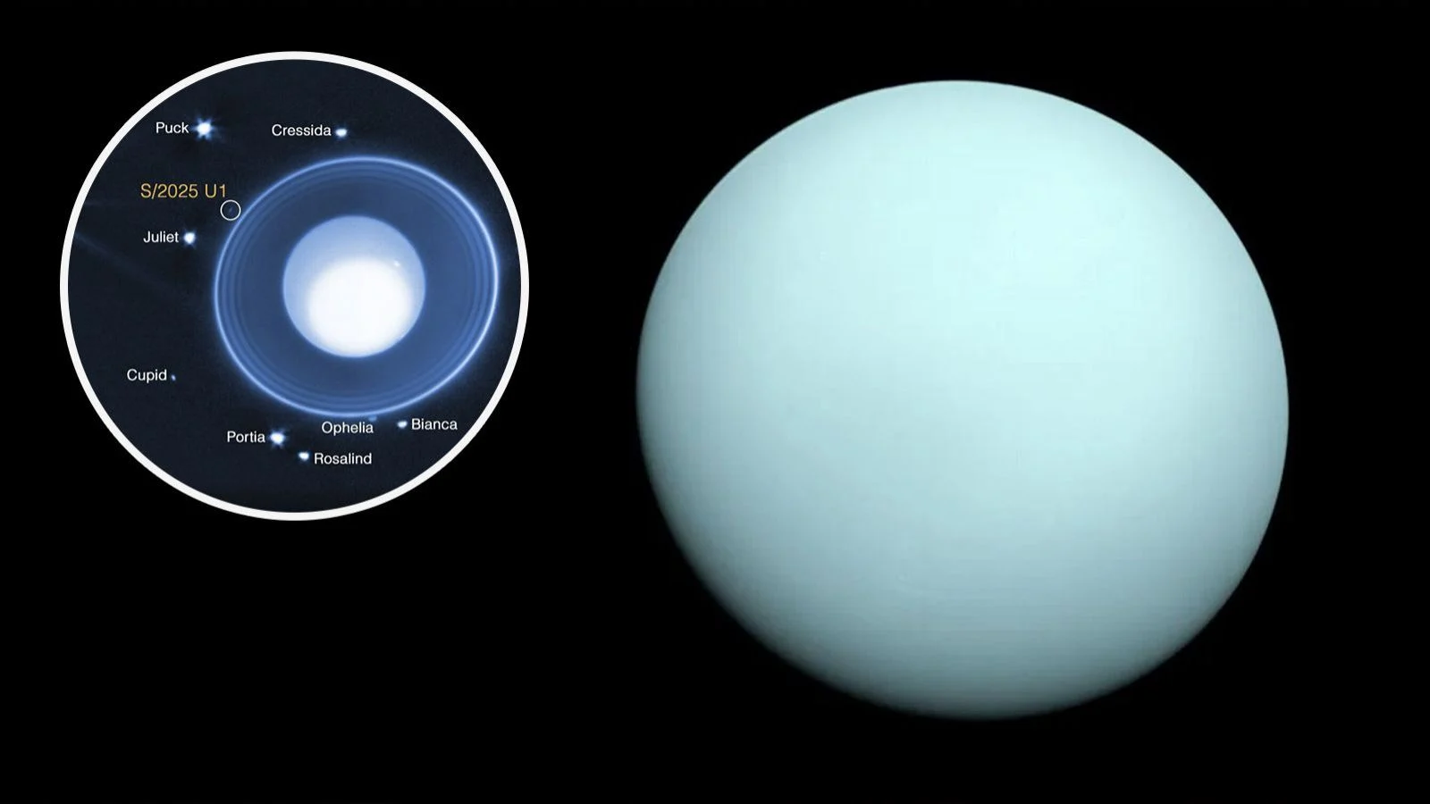 Descubrirá una nueva luna pequeña de Circle Urano gracias al telescopio Webb

 – Primer plano