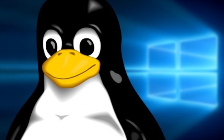 Linuxfx 2025: «Windows» de Linux se renueva

 – Primer plano