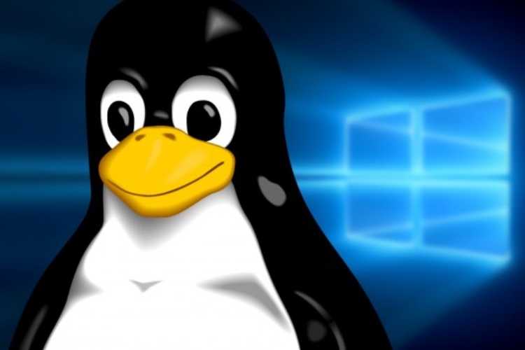 Linuxfx 2025: «Windows» de Linux se renueva

 – Primer plano