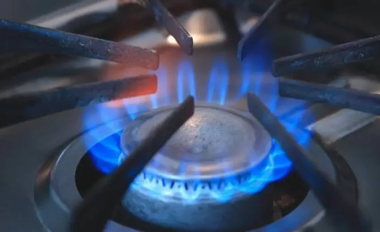 «Ni siquiera dejes que el proceso de este proyecto»
 – Primer plano