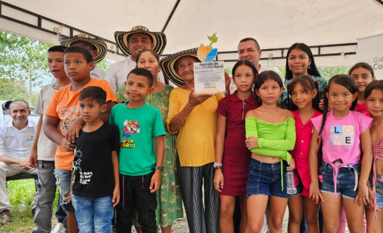 El Tribunal Constitucional confesó la alta solicitud de las hormigas contra la «fragmentación» de la reforma agraria
 – Primer plano