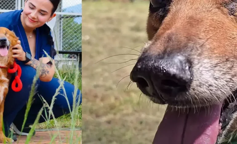 Después de dos años de búsqueda adoptiva, encontró una familia

 – Primer plano