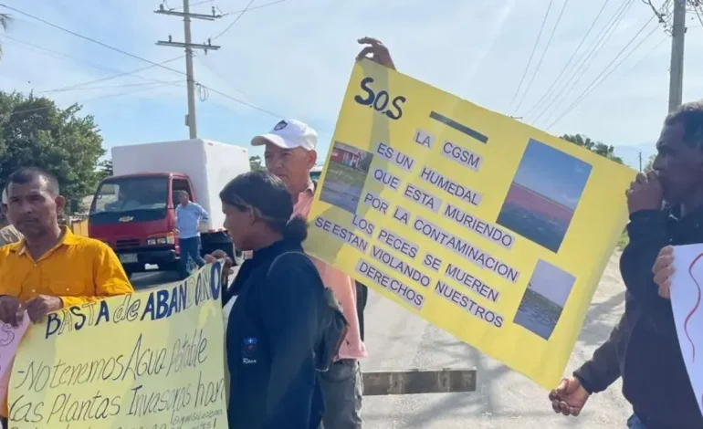 Nueva Venecia, atrapada entre agua y malas hierbas: gente de palago que podrían desaparecer

 – Primer plano