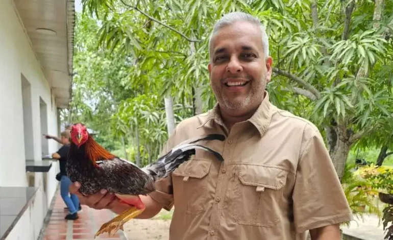 Jorge Alberto de la Hoz, voz del gremio de Gallero en el Caribe

 – Primer plano